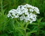 засобами