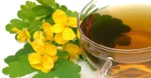Лікування грибка нігтів на ногах маслом чистотілу лікування