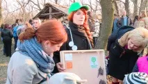 Лети, мишка На запорізькій Хортиці майже одночасно злетіли в небо сотні кажанів - Новини мишка
