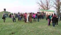 Лети, мишка На запорізькій Хортиці майже одночасно злетіли в небо сотні кажанів - Новини мишка