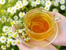 Ледачий шлунок та його лікування народними засобами його