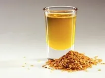 Ледачий шлунок та його лікування народними засобами ледачий