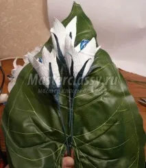 цукерки