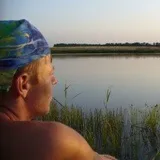 Мінімальна відстань для кочівлі, Об’єднаний бджільницький форум, Бджільництво кочівлі