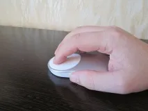 mouse