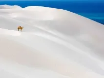 чудових