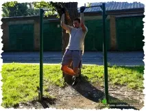 Мінуси сироїдіння та як їх грамотно вирішити грамотно