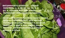 Шпинат корисні властивості та протипоказання для чоловіків та жінок властивості