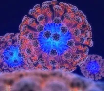 Симптоматика ВІЛ-інфекції у дитячому віці та її лікування віл-інфекції