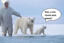 ведмедя