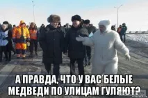ведмедя