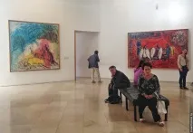 Музеї Ніцци Nice