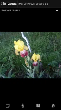 альтернативні