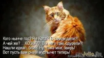Новорічна котоматриця Щоденник групи - Кішки - це кішки Групи - жіноча соціальна мережа котоматриця