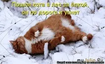 Новорічна котоматриця Щоденник групи - Кішки - це кішки Групи - жіноча соціальна мережа кішки