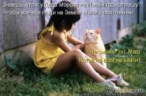 Новорічна котоматриця Щоденник групи - Кішки - це кішки Групи - жіноча соціальна мережа новорічна