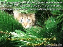 Новорічна котоматриця Щоденник групи - Кішки - це кішки Групи - жіноча соціальна мережа жіноча