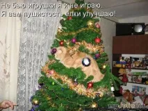 Новорічна котоматриця Щоденник групи - Кішки - це кішки Групи - жіноча соціальна мережа групи