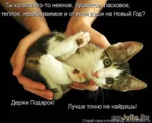 Новорічна котоматриця Щоденник групи - Кішки - це кішки Групи - жіноча соціальна мережа кішки