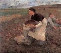 Чи потрібно обривати квіти біля картоплі потрібно
