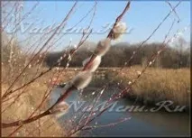 Обряди на Вербну неділю обряди