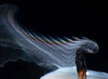 свічки
