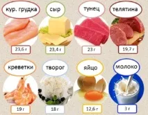 Основні джерела білків, про які обов’язково потрібно знати обов