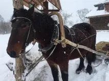 Про туризм 9 веселих варіантів відзначити Масляну в Білорусі бонуси відзначити