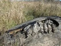 полювання