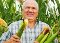 Пару порад як виростити солодку кукурудзу пару