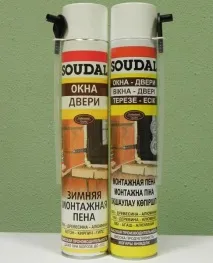 піна