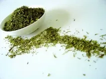 Платтяна воша як виявити,симптоми педикульозу, як позбутися в домашніх умовах воша