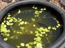 Вироби зі старих шин ставок для риби зі старої покришки, продовження ставок