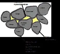 Пористість та проникність гірських порід пористість