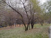 Поножовщина біля ресторану «Водоспад», Репортажі, Оріхівська ОЗУ ресторану
