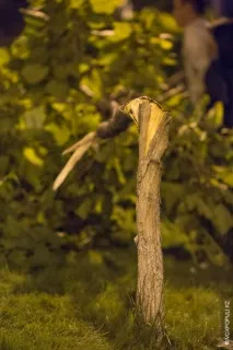 Після Кайрата Нуртаса після