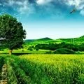 Природа () 6 букв - пошук слів за маскою та визначенням, відповіді на сканворди природа