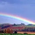 Природа () 6 букв - пошук слів за маскою та визначенням, відповіді на сканворди пошук