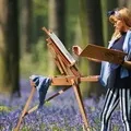 Природа () 6 букв - пошук слів за маскою та визначенням, відповіді на сканворди букв