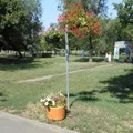 Природа () 6 букв - пошук слів за маскою та визначенням, відповіді на сканворди слів