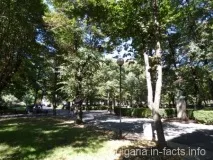бургасі