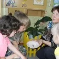 проект