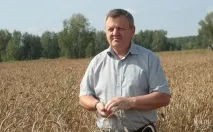 Пронькін втратив посаду заступника голови уряду області через тогучинський ліс заступника