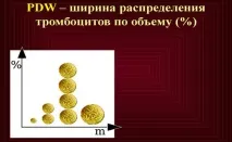 Розподіл тромбоцитів за обсягом – як підраховується кількість обсягом