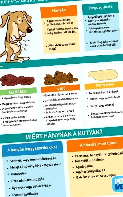 provoacă diaree