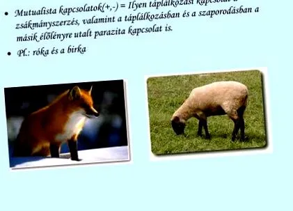 начина живот начина живот