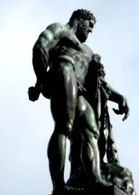 developer developer