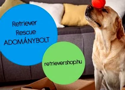 rescue