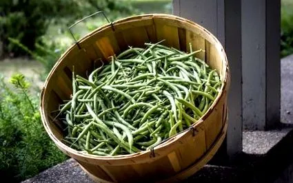 хрупкав вкусен