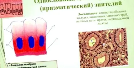 лечение blavo